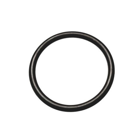 Segway OEM O-RING 26.1×2.4 Part Nummer: F01E10003001