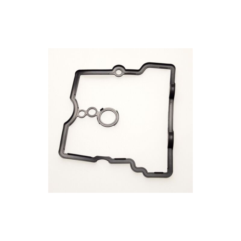 Segway OEM VALVE COVER SEAL Part Nummer: F01A10002001