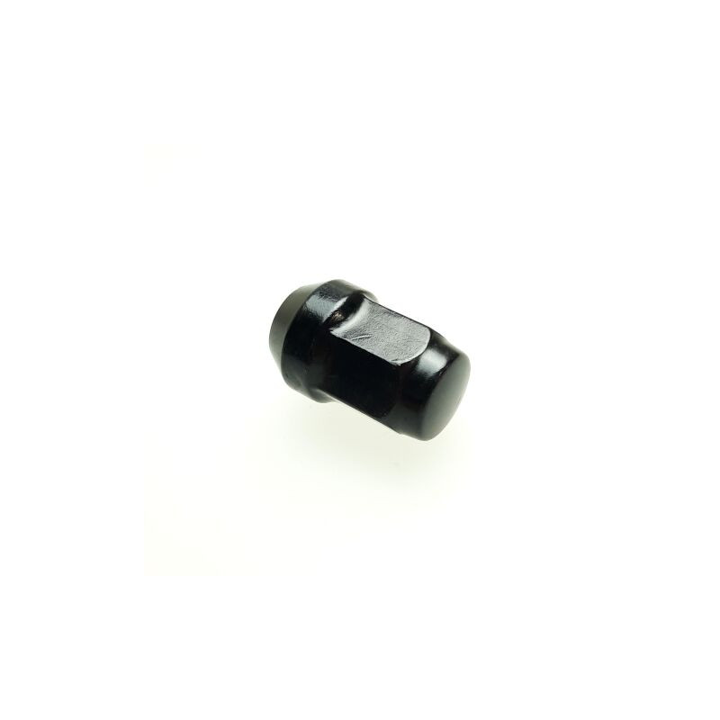 Segway OEM NUT,HUB INSTALLATION PIECE（BLACK） Part Nummer: T08000011002