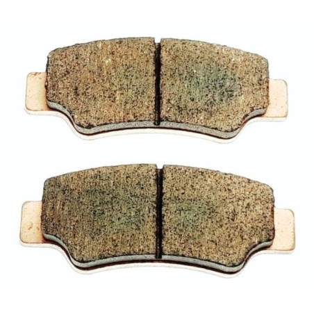 Segway OEM Villain or Fugleman rear brake pad assy Part Nummer: S05E15C20001