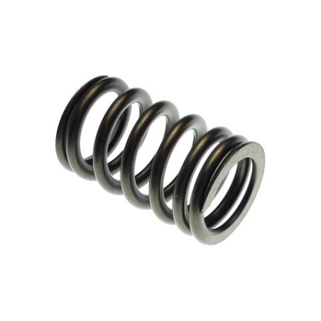 Segway VALVE SPRING - Partnr: F01A20001001