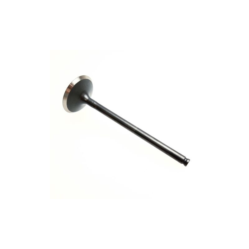 Segway EXHAUST VALVE - Partnr: F01A20003001