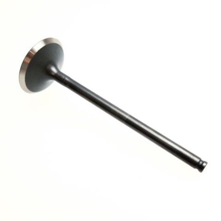 Segway INTAKE VALVE - Partnr: F01A20002001