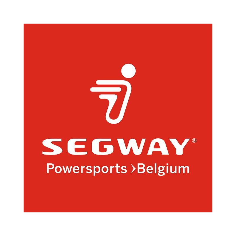 Segway TENSIVE ORANGE+RED REAR ARMREST - Partnr: A03C01102001