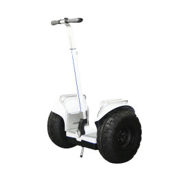 ESWING ES6S elektrische zelfbalancerende scooter met dubbel accupakket 26.4Ah - 80Km rijbereik.