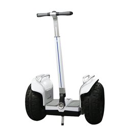 ESWING ES6S elektrische zelfbalancerende scooter met dubbel accupakket 26.4Ah - 80Km rijbereik.