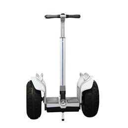 ESWING ES6S elektrische zelfbalancerende scooter met dubbel accupakket 26.4Ah - 80Km rijbereik.