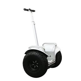 ESWING ES6S elektrische zelfbalancerende scooter met dubbel accupakket 26.4Ah - 80Km rijbereik.