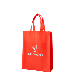 Segway Non-woven Bag - Partnr: AM1R33001001