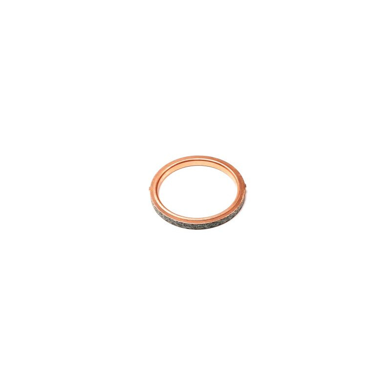 Segway EXHAUST PIPE GASKET 47×57×5 - Partnr: F02A22003001