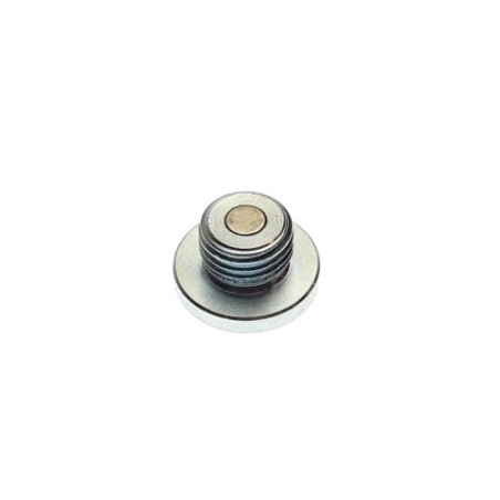 Segway SCREW PLUG M14 - Partnr: F01G00200001